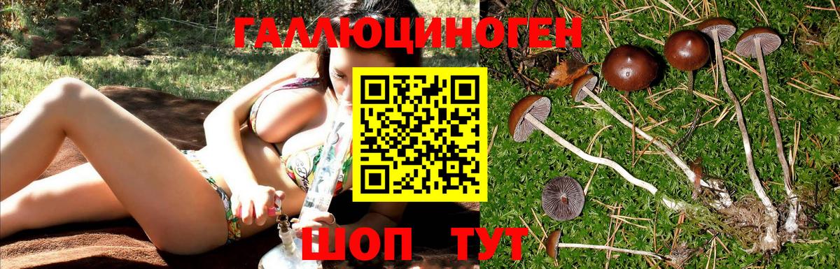 Галлюциногенные грибы Cubensis Гурьевск